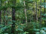 8 Carls Cove Road - Photo 9