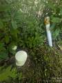 46 Settings Boulevard - Photo 18
