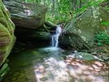 349 Spring Creek Road - Photo 42