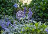 2086 Warrior Fork Trail - Photo 40