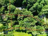 353 Chunns Cove Road - Photo 3