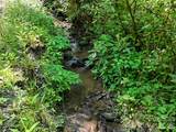 000 Enchanted Forest Drive - Photo 11