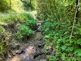 000 Enchanted Forest Drive - Photo 10