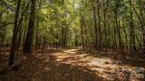 8169 Raccoon Track Drive - Photo 19