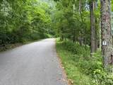 Lot 7 Gadohi Trail - Photo 2