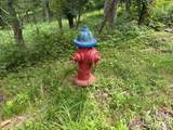 Lot 7 Gadohi Trail - Photo 4