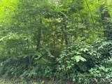 Lot 19 Iga Trail - Photo 2