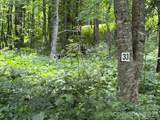 Lot 33 Toi Trail - Photo 1