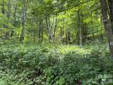 Lot 33 Toi Trail - Photo 4
