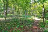 309 Walking Horse Trail - Photo 41