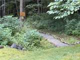Lot 28 Toi Trail - Photo 11