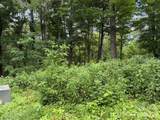 Lot 28 Toi Trail - Photo 3