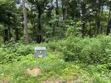 Lot 28 Toi Trail - Photo 4