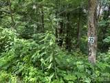 Lot 32 Toi Trail - Photo 1