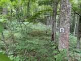 Lot 35 Odalu Trail - Photo 1
