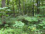 Lot 35 Odalu Trail - Photo 3