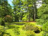 111 Kindy Forest Drive - Photo 3