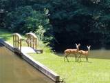 111 Kindy Forest Drive - Photo 46