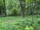Lot 36 Odalu Trail - Photo 2