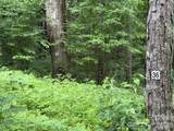 Lot 36 Odalu Trail - Photo 5