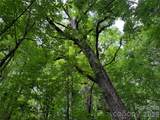 LT 18 Silverbell Lane - Photo 8
