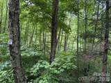 Lot 37 Odalu Trail - Photo 2