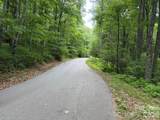 Lot 37 Odalu Trail - Photo 4