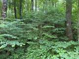 Lot 38 Yanasa Trail - Photo 1