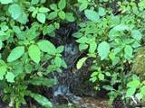 Lot 38 Yanasa Trail - Photo 3