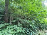 Lot 38 Yanasa Trail - Photo 4