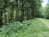 Lot 59 Odalu Trail - Photo 3