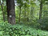 15 Lots Odalu Trail - Photo 15
