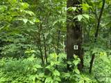 15 Lots Odalu Trail - Photo 18