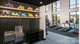 1015 Alexander Street - Photo 14
