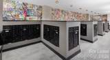 1015 Alexander Street - Photo 19