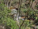 999 Bulling Creek Drive - Photo 13