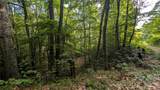 00 Chestnut Walk - Photo 17