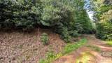 00 Chestnut Walk - Photo 6