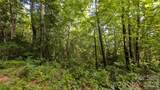 00 Chestnut Walk - Photo 8