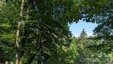 00 Chestnut Walk - Photo 1
