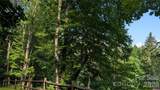 00 Chestnut Walk - Photo 2