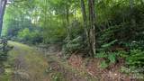 00 Chestnut Walk - Photo 14