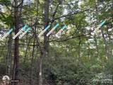 225 Lucerne Drive - Photo 5