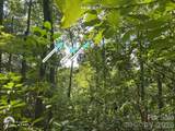 225 Lucerne Drive - Photo 6