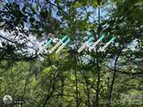225 Lucerne Drive - Photo 9