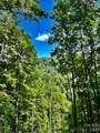 75 Fork Creek Road - Photo 11