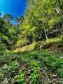 75 Fork Creek Road - Photo 12