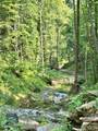 75 Fork Creek Road - Photo 13