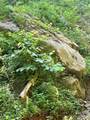 75 Fork Creek Road - Photo 16