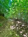 75 Fork Creek Road - Photo 17